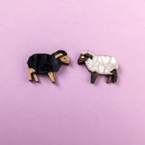 Sheep Studs